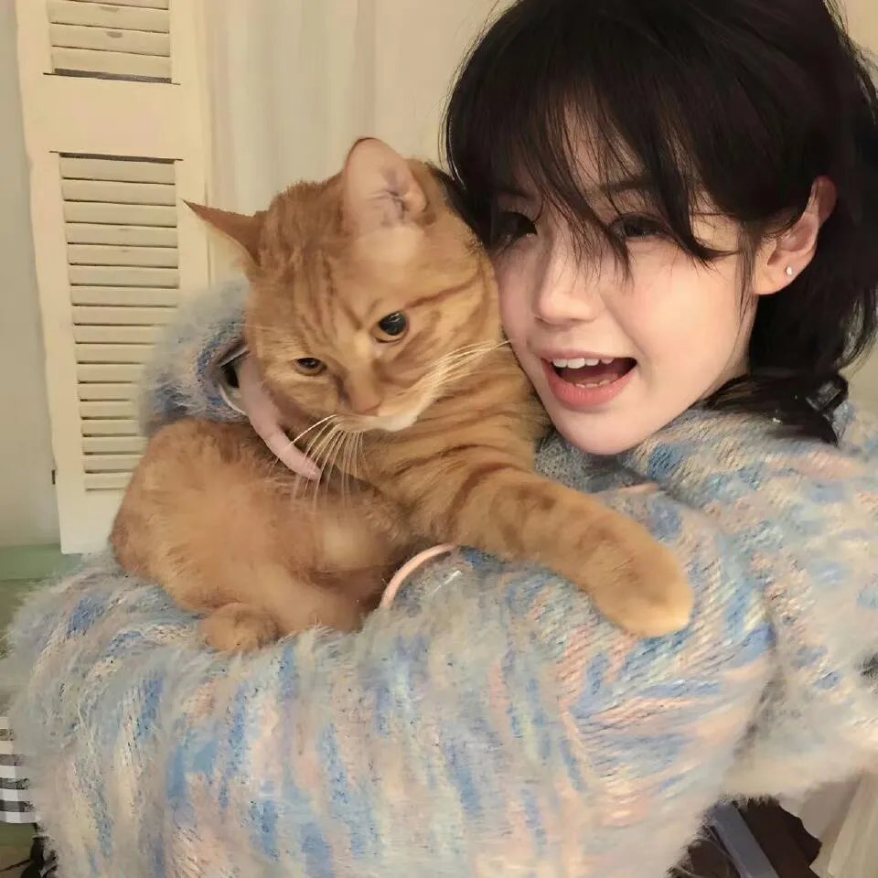 堪萨斯小猫封面